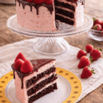 Chocolate Strawberry Cake with strawberry buttercream and ganache
